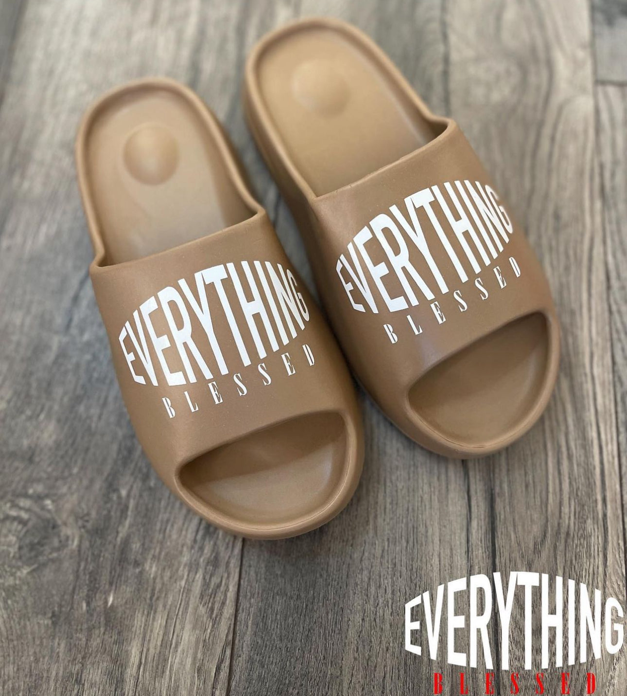 Brown Logo Slides